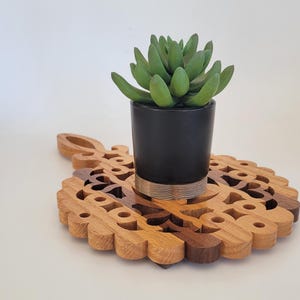 May include: A wooden trivet with a decorative design, featuring a black pot with a green succulent plant.