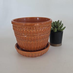 May include: A brown ceramic planter with a matching saucer. The planter has a detailed, textured design around the exterior. A small, black pot with a green succulent is next to the planter.