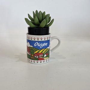Vintage Oregon mug kitchen souvenir collectible retro dishware