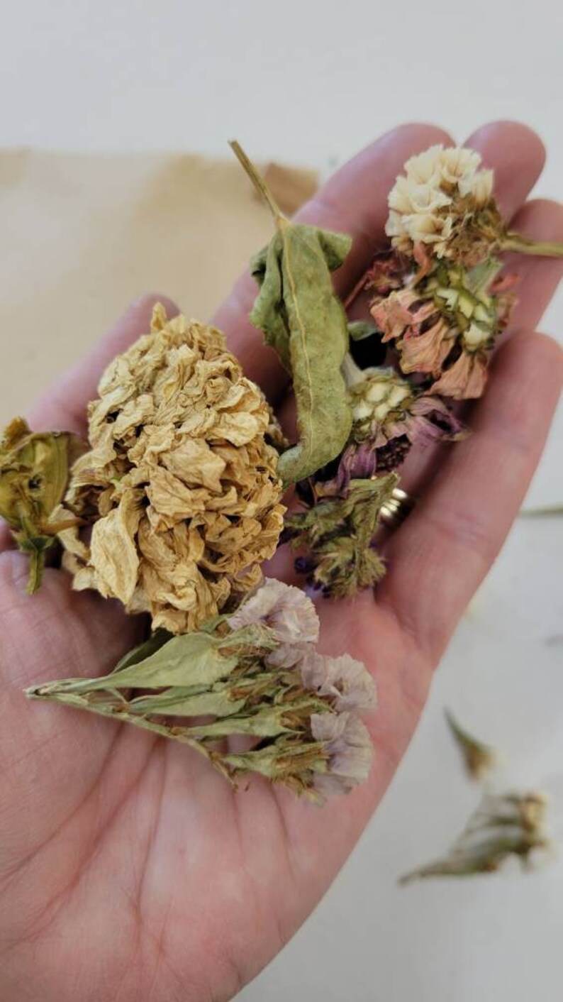 Dried Flower Filler / Jar Filler / Dried Flower Heads / Confetti Etsy