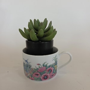 May include: A white ceramic teacup with a floral pattern and a green succulent plant in a black pot. The teacup has a handle and is sitting on a white surface.