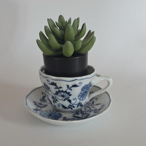Blue Danube Japan flat cup and saucer set blue onion china