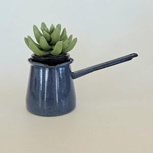 May include: A small, blue speckled enamelware pot with a long handle, holding a green succulent plant. The pot has a classic design, perfect for a small plant or as a decorative item. The blue color has a speckled effect.