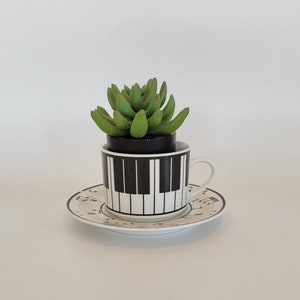 May include: A white teacup and saucer with a black and white piano key design. A small green succulent plant is in the teacup.