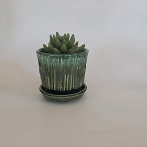May include: A small green ceramic planter with a vertical ribbed texture and a matching saucer. The pot features a variegated glaze with darker green tones and contains a single succulent plant with thick, fleshy, pointed leaves.