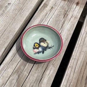 May include: A small, light green ceramic bowl with a red rim. The bowl features a hand-painted design of two birds with yellow beaks and black eyes.