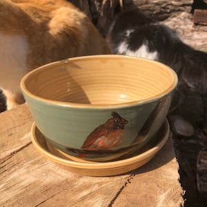 Cardinal Planter, Flower Pot, Spring Green, Housewarming Gift, Hand painted, Home Décor, Handmade Pottery by Daisy Friesen