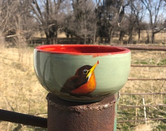 Fledgling Robin Bowl, Hand Painted, Red, Birdwatcher Gift, Cereal Bowl, Soup Bowl, Handmade Pottery by Daisy Friesen