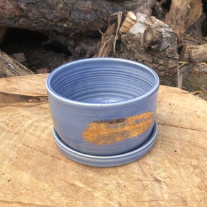 以下が含まれることがあります： 金色の羽根のデザインが施された青いセラミック製のプランター。プランターには受け皿が付いています。