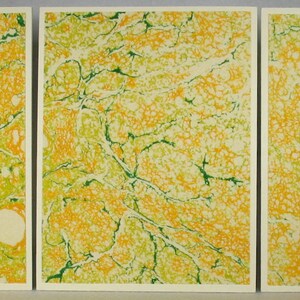 Tarjetas de nota SCST160 Conjunto de tres cartas de notas de seda de mármol de mano de Brooklyn Marbling