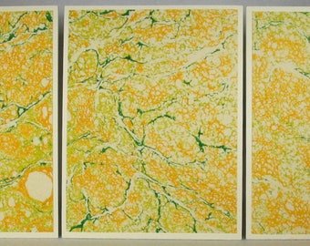 Note Cards SCST160 Set of Three Hand Marbled Silk Note Cards from Brooklyn Marbling