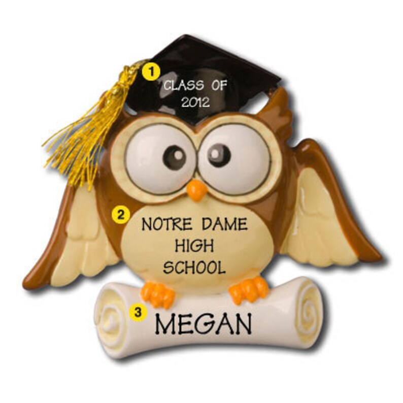 Personalized Graduation Owl Christmas Ornaments with Scroll Etsy