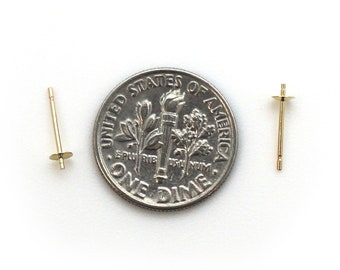 May include: Two gold earring posts with a small disc at the bottom, next to a US dime for size comparison.