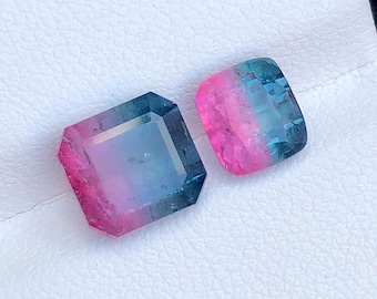 6 CTs Unique Bicolour Tourmaline