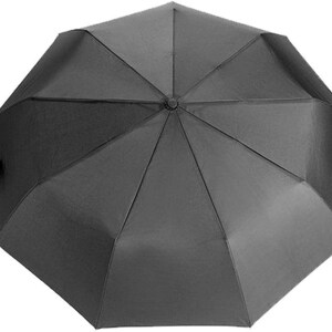 Peut inclure: Un parapluie noir avec une poign&eacute;e argent&eacute;e. Le parapluie est ferm&eacute; et pli&eacute;.