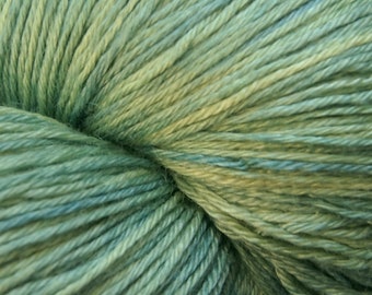 Cyanobacteria Lustrous 4ply yarn 150g