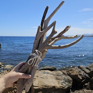 May include: A bundle of weathered, light gray driftwood branches tied together with a thick, off-white cotton cord. The wood pieces have smooth, sun-bleached surfaces and irregular, branching shapes, creating a natural, textured arrangement.