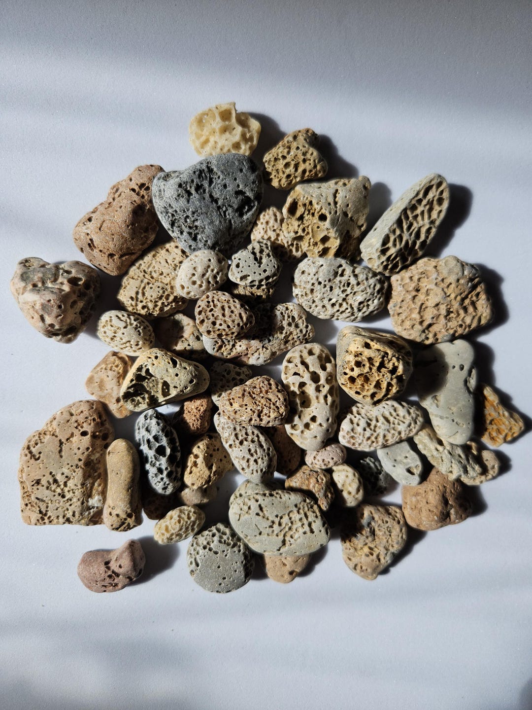 Porous Sea Rocks Volcanic Beach Stones Set: Mediterranean Sea Rocks, Porous Stones, 10 ...