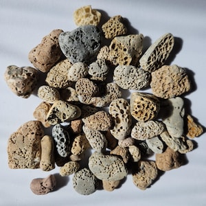 Juego de piedras volcánicas de playa: rocas del mar Mediterráneo, piedras porosas, 10-50 piezas