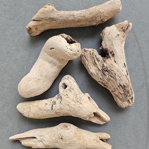 Curved Mediterranean Driftwood Set: Natural Beach Wood for Crafts