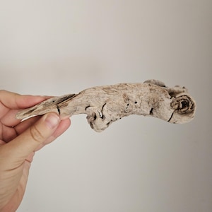 Natural Driftwood / Driftwood Chunks / Driftwood Lot / Driftwood Mobile Pieces