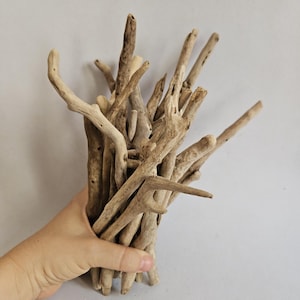 May include: A collection of light brown, weathered driftwood pieces bundled together. The wood features smooth, organic textures and irregular, gnarled shapes with various branch-like protrusions, showcasing natural erosion and a pale, sun-bleached finish.