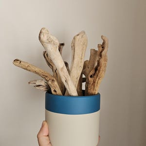 Driftwood Sticks /  Medium Size Beach Wood / Craft Supplies / Macramé Supplies