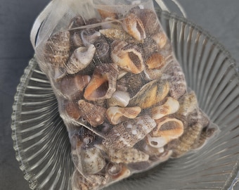 May include: A white organza bag filled with a variety of small seashells. The bag is sitting on a clear glass plate with a wavy design.