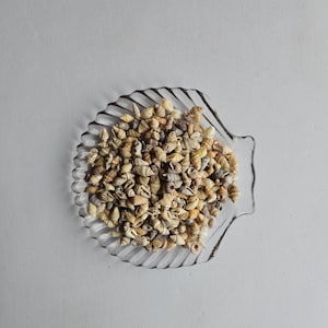 Op de afbeelding: Een doorzichtig, schelpvormig schaaltje gevuld met kleine, beige en bruine schelpen. De schelpen variëren in grootte en vorm, wat een textuur geeft. Het schaaltje staat op een effen, lichtgrijze ondergrond.