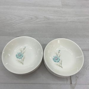 Vintage Taylor Smith & Taylor Boutonnière fruktskålar set om 10 MCM