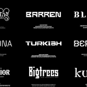 Unique Branding Font Bundle - Branding Font, Modern Fonts, Elegant Font, Luxury Font, Futuristic Font, Creative Font, Logo Font