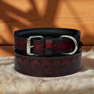 Personalized Western Leather Dog Cat Collar Carved Tooled Hand Crafted Padded Genuine Leather Custom Dog Collar