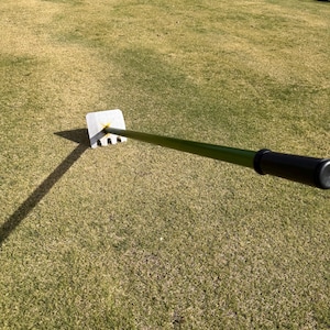 May include: A green metal rake with a metal head and a wooden handle. The rake is lying on a green lawn.