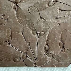 May include: A brown chocolate bar with a design of maple tree seeds pressed into the surface.