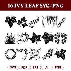 May include: A digital design featuring 16 black ivy leaf SVG and PNG files. The image showcases various ivy leaf designs, including single leaves, vines, and circular arrangements. The text "16 IVY LEAF SVG/PNG" is at the top, with file type icons at the bottom.