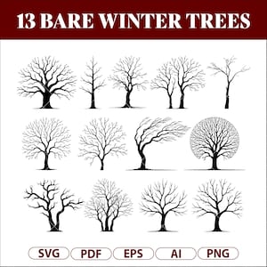 May include: A digital graphic featuring 13 bare winter trees in black. The trees have various shapes and branch structures, with the text "13 BARE WINTER TREES" at the top. Below are file type icons: SVG, PDF, EPS, AI, and PNG.