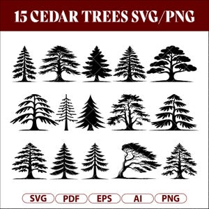 Puede incluir: Ilustraciones en blanco y negro de 15 árboles de cedro en varios estilos. La imagen incluye el texto "15 CEDAR TREES SVG/PNG" en la parte superior y opciones de tipo de archivo: SVG, PDF, EPS, AI y PNG en la parte inferior.