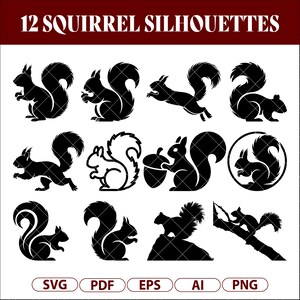 May include: A collection of 12 black squirrel silhouettes in various poses, including eating nuts, jumping, and sitting. The text "12 Squirrel Silhouettes" is at the top. File types include SVG, PDF, EPS, AI, and PNG.