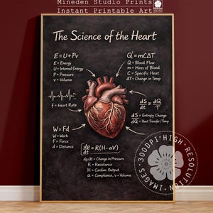 Heart Anatomy Science Poster - Educational illustration Valentine Gift (Digital Download)