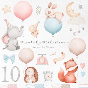 Clipart di traguardo mensile del bambino, clipart di acquerello di compleanno, crescita mensile, regalo per baby shower, decorazioni per la cameretta dei bambini, animale con palloncini png