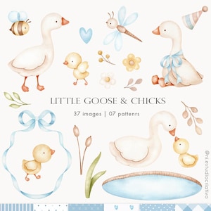 Kleine Gans Aquarell Clipart, Frühling Vintage Cottagecore, Silly Goose Aquarell Clipart, Kränze Luftballons GeburtstagSparty PNG