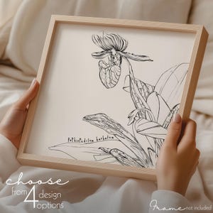 Quadratischer Paphiopedilum Kunstdruck |10x10"|12x12"|14x14"|16x16"| Pantoffel Orchidee Zeichnung | Nachhaltiges tropisches Blumenplakat | Botanische Kunst