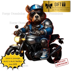 Hip Hop Graffiti Teddy Bear PNG: Swag Bear Download (Commercial Use)