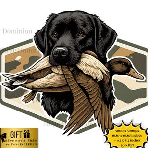 May include: Illustration of a black Labrador Retriever holding a brown duck in its mouth. The dog is set against a camouflage background within a hexagonal shape. The image includes text indicating commercial print rights.