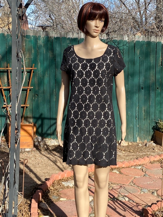 Coast maria lace shift dress discount