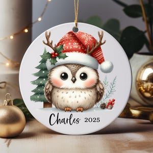 Personalized Owl Christmas Ornament, Holiday Decorations, Custom Name Gift, Keepsake Ornament, Festive Home Decor
