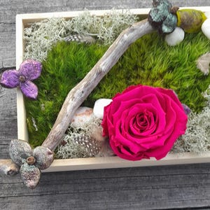 May include: A wooden box arrangement featuring a bright pink rose, green moss, and a weathered branch. The display includes small white stones, purple floral accents, and speckled feathers, creating a natural aesthetic.