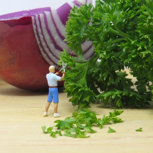 May include: A miniature figure trims fresh green parsley with scissors, next to a large red onion half. The scene is set on a light wooden surface, suggesting a culinary theme.