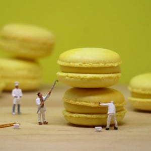Miniature World, Miniature People, France, Paris, French Chef, French Pastry, Macarons, Patisserie, Whimsical, Funny, Sweet, Pastry Chef