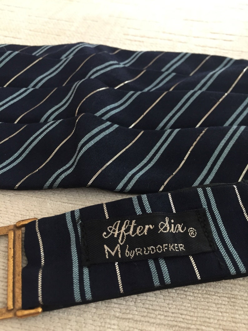 Baby Blue Silk and Silver Metallic Diagonal Striped Navy Blue image 1